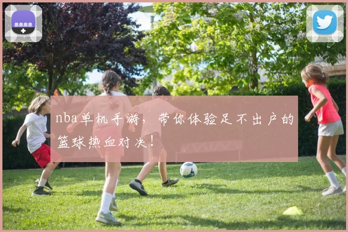 nba单机手游，带你体验足不出户的篮球热血对决！