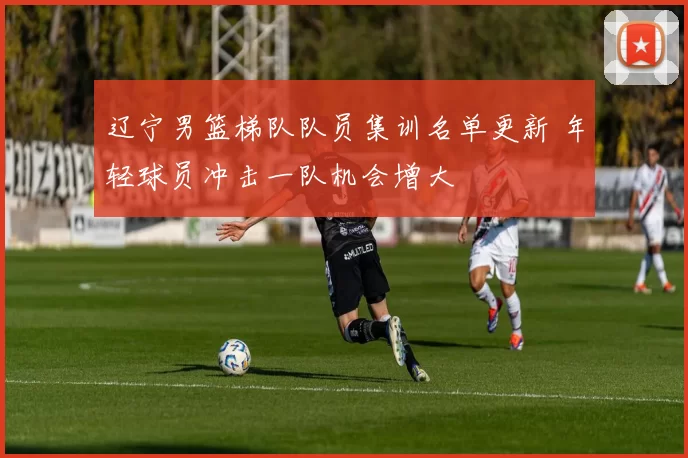 辽宁男篮梯队队员集训名单更新 年轻球员冲击一队机会增大