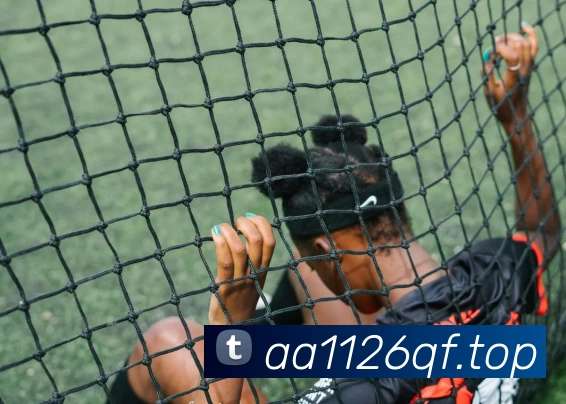 开云·kaiyun体育(中国大陆)官方网站 登录入口发展历程