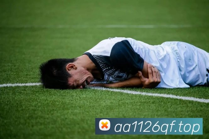 奖项证书